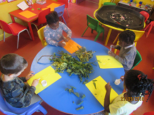Elm Lane Picture Making